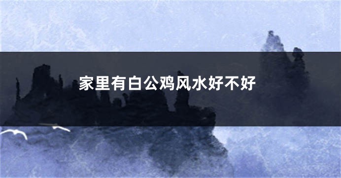 家里有白公鸡风水好不好