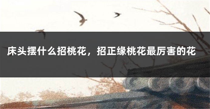 床头摆什么招桃花，招正缘桃花最厉害的花