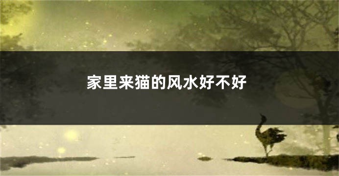 家里来猫的风水好不好