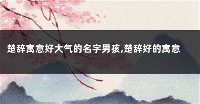 楚辞寓意好大气的名字男孩,楚辞好的寓意