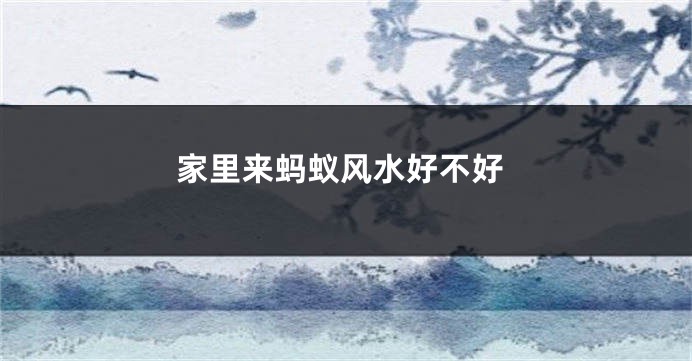 家里来蚂蚁风水好不好