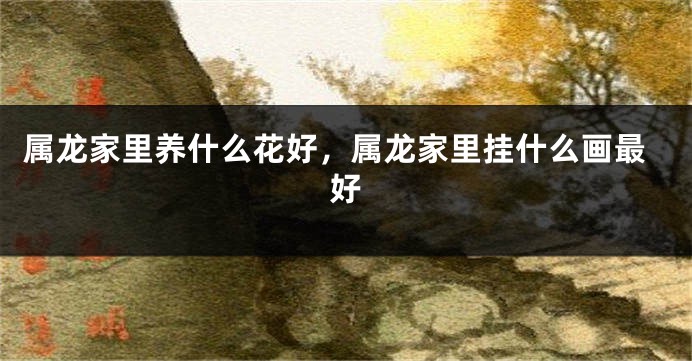 属龙家里养什么花好，属龙家里挂什么画最好