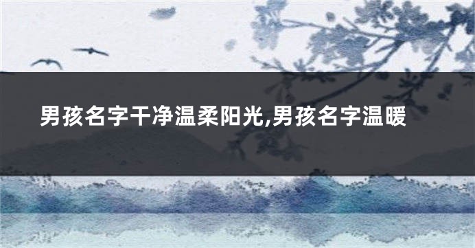 男孩名字干净温柔阳光,男孩名字温暖