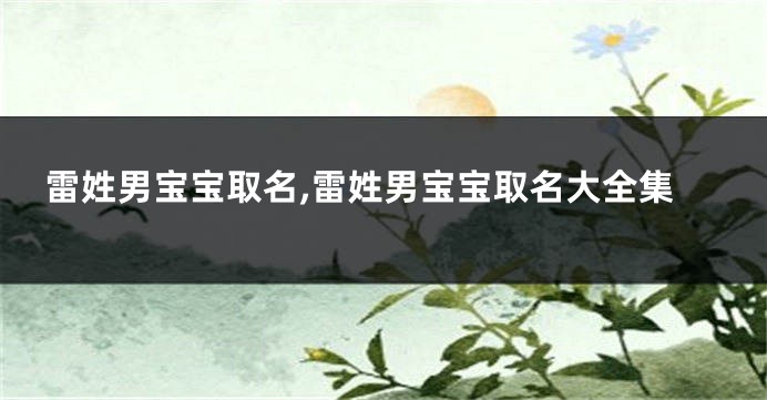 雷姓男宝宝取名,雷姓男宝宝取名大全集