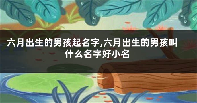 六月出生的男孩起名字,六月出生的男孩叫什么名字好小名