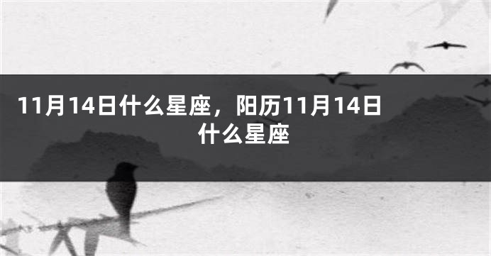 11月14日什么星座，阳历11月14日什么星座