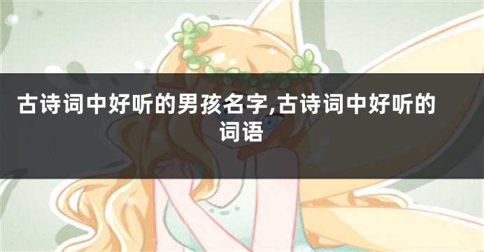 古诗词中好听的男孩名字,古诗词中好听的词语