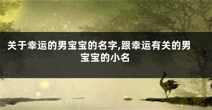 关于幸运的男宝宝的名字,跟幸运有关的男宝宝的小名