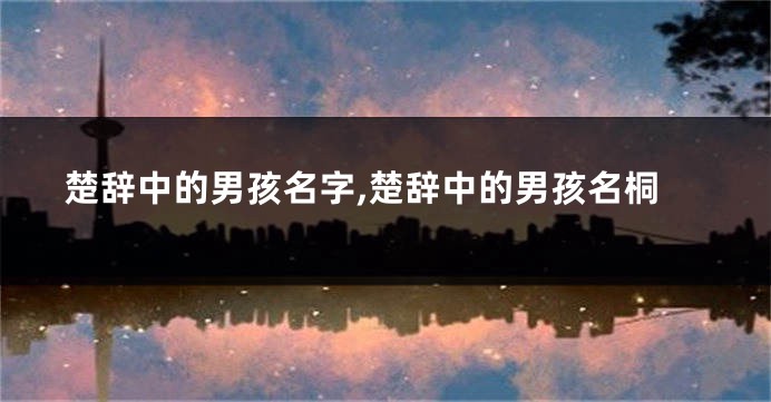 楚辞中的男孩名字,楚辞中的男孩名桐