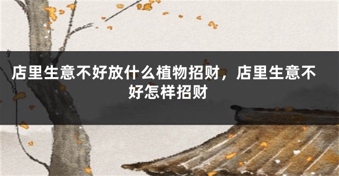 店里生意不好放什么植物招财，店里生意不好怎样招财