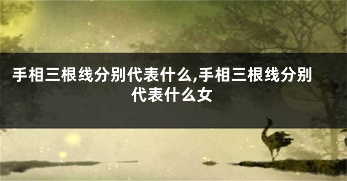 手相三根线分别代表什么,手相三根线分别代表什么女