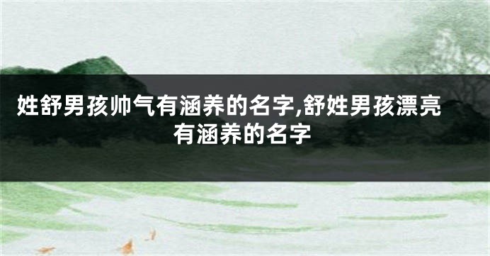 姓舒男孩帅气有涵养的名字,舒姓男孩漂亮有涵养的名字