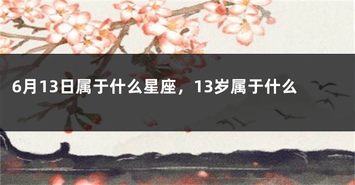 6月13日属于什么星座，13岁属于什么