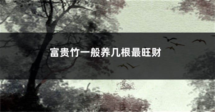 富贵竹一般养几根最旺财