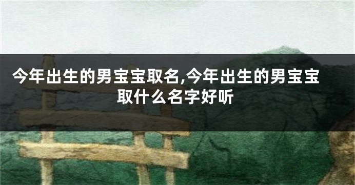 今年出生的男宝宝取名,今年出生的男宝宝取什么名字好听