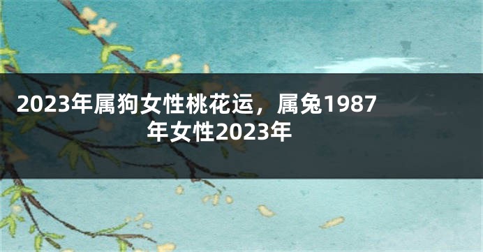 2023年属狗女性桃花运，属兔1987年女性2023年