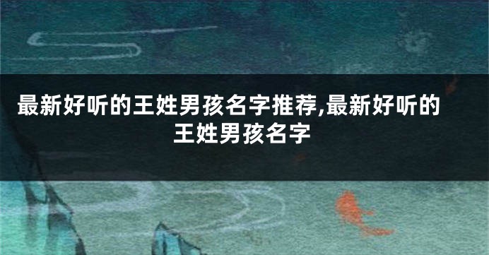 最新好听的王姓男孩名字推荐,最新好听的王姓男孩名字