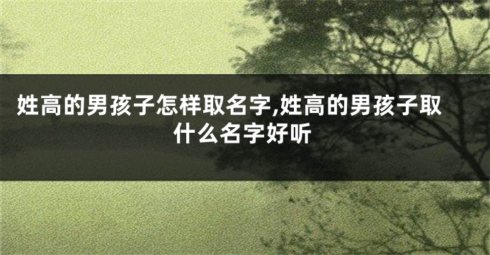 姓高的男孩子怎样取名字,姓高的男孩子取什么名字好听