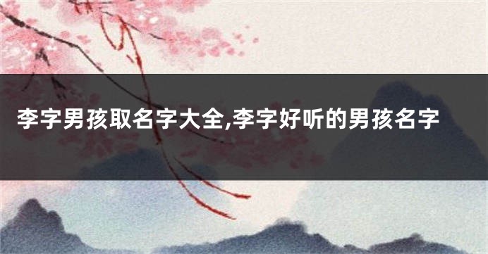 李字男孩取名字大全,李字好听的男孩名字