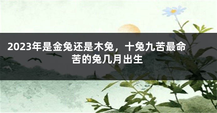 2023年是金兔还是木兔，十兔九苦最命苦的兔几月出生