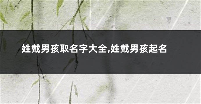 姓戴男孩取名字大全,姓戴男孩起名