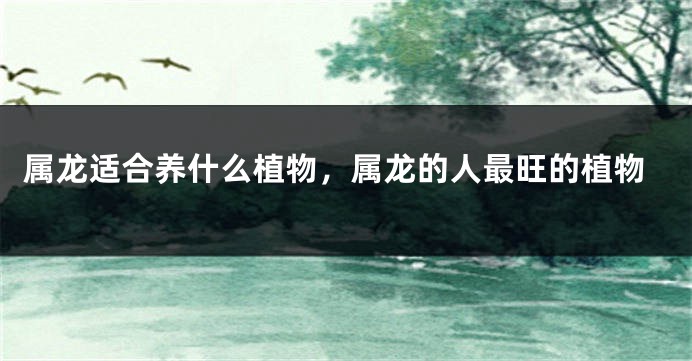 属龙适合养什么植物，属龙的人最旺的植物