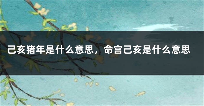 己亥猪年是什么意思，命宫己亥是什么意思
