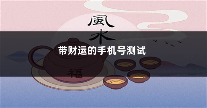 带财运的手机号测试