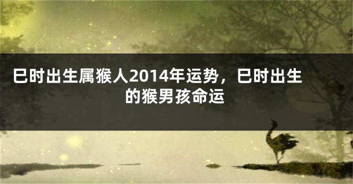 巳时出生属猴人2014年运势，巳时出生的猴男孩命运