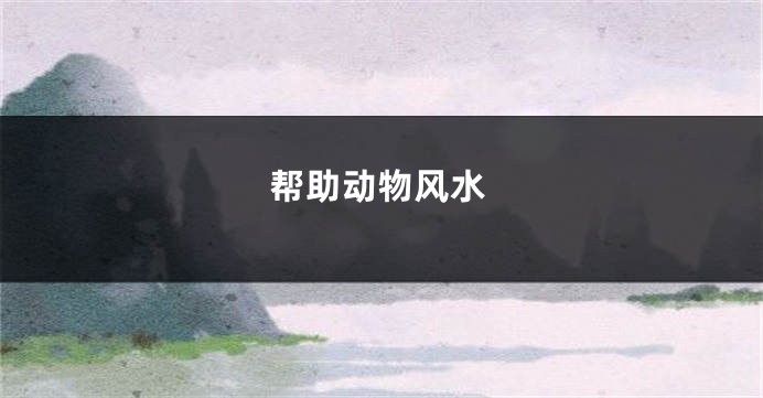 帮助动物风水