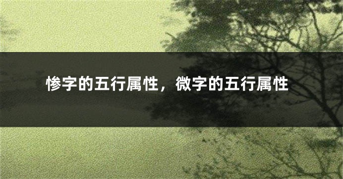 惨字的五行属性，微字的五行属性
