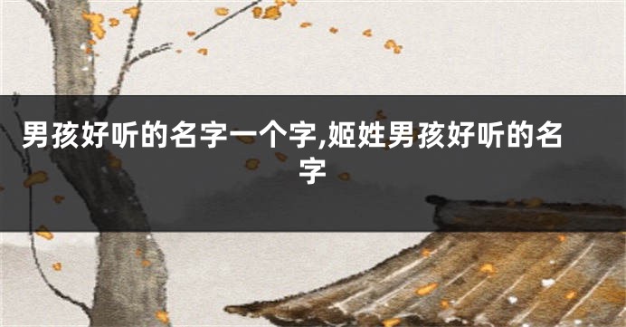 男孩好听的名字一个字,姬姓男孩好听的名字