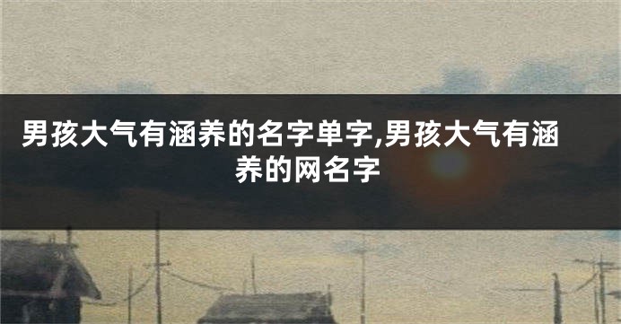 男孩大气有涵养的名字单字,男孩大气有涵养的网名字