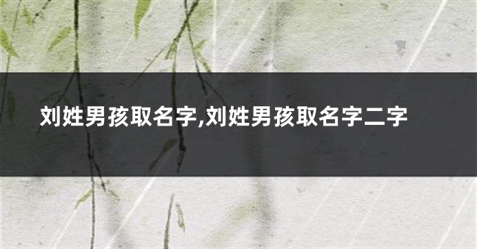 刘姓男孩取名字,刘姓男孩取名字二字