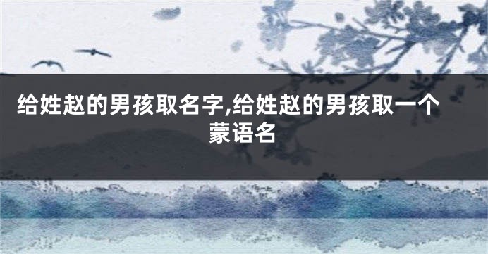 给姓赵的男孩取名字,给姓赵的男孩取一个蒙语名