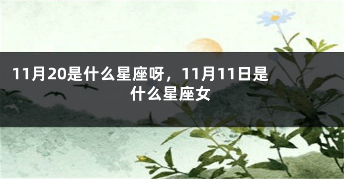 11月20是什么星座呀，11月11日是什么星座女