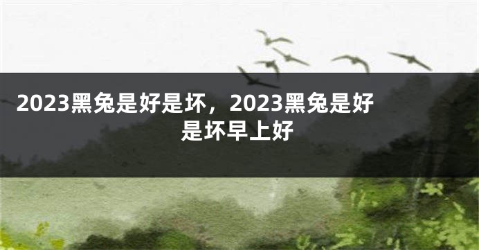 2023黑兔是好是坏，2023黑兔是好是坏早上好