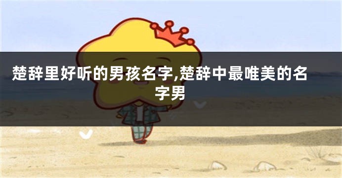 楚辞里好听的男孩名字,楚辞中最唯美的名字男