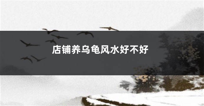 店铺养乌龟风水好不好