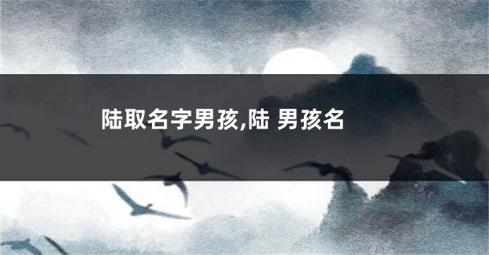 陆取名字男孩,陆 男孩名