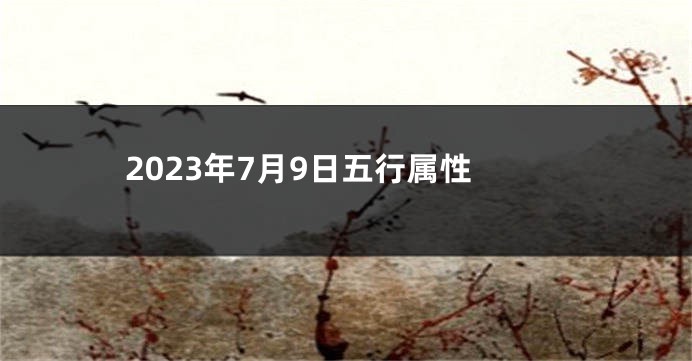 2023年7月9日五行属性