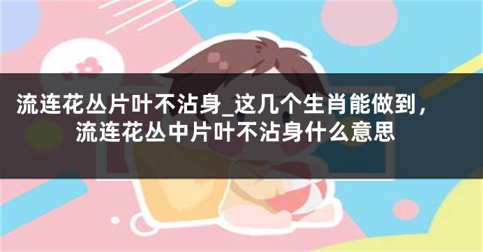 流连花丛片叶不沾身_这几个生肖能做到，流连花丛中片叶不沾身什么意思