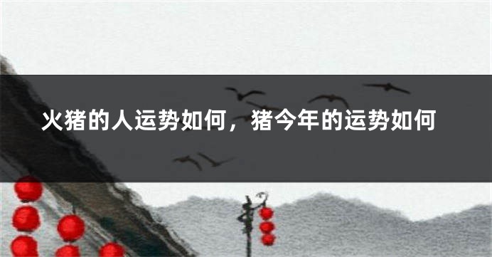 火猪的人运势如何，猪今年的运势如何