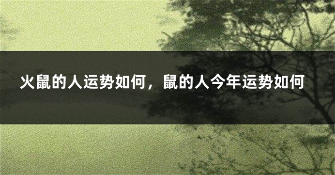 火鼠的人运势如何，鼠的人今年运势如何