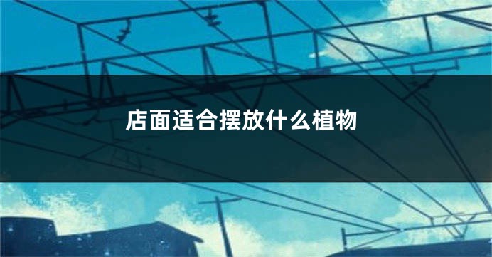 店面适合摆放什么植物