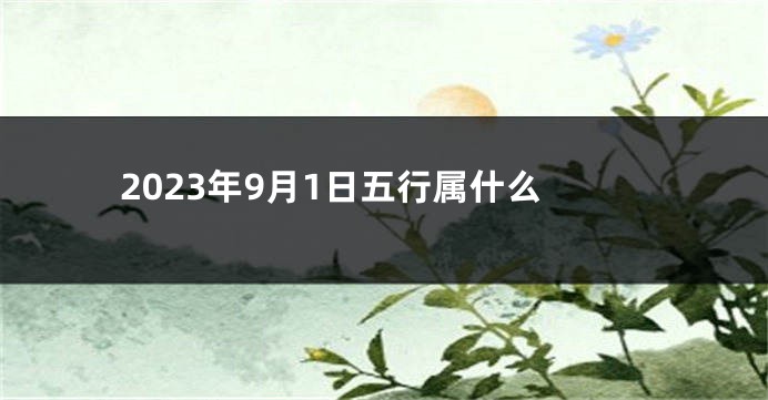 2023年9月1日五行属什么