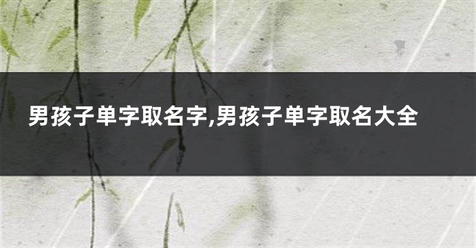 男孩子单字取名字,男孩子单字取名大全