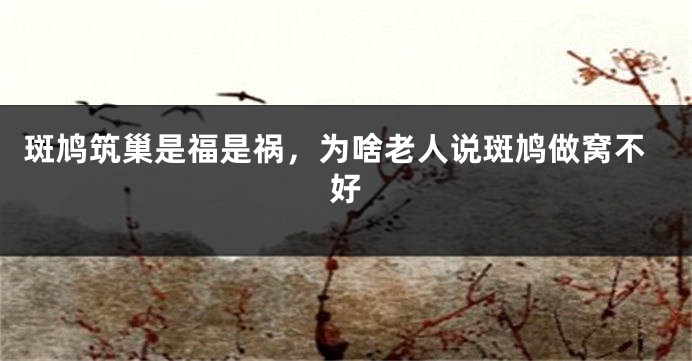 斑鸠筑巢是福是祸，为啥老人说斑鸠做窝不好