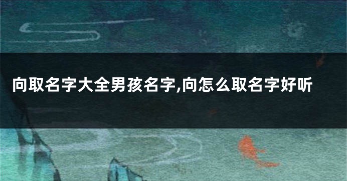 向取名字大全男孩名字,向怎么取名字好听