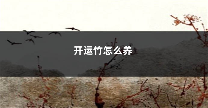 开运竹怎么养